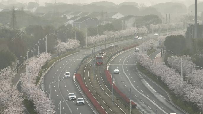 苏州高新区春天樱花大道航拍