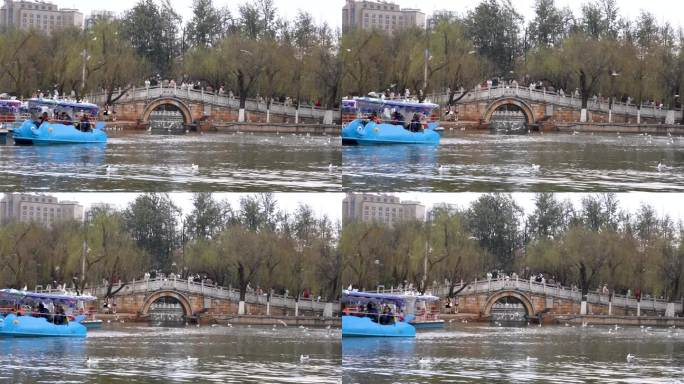 4K昆明翠湖燕子桥来往游客游船实拍视频