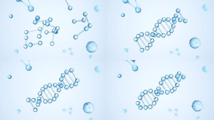 重组DNA双螺旋遗传分子