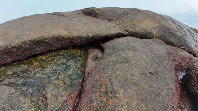 礁石螃蟹-延时摄影