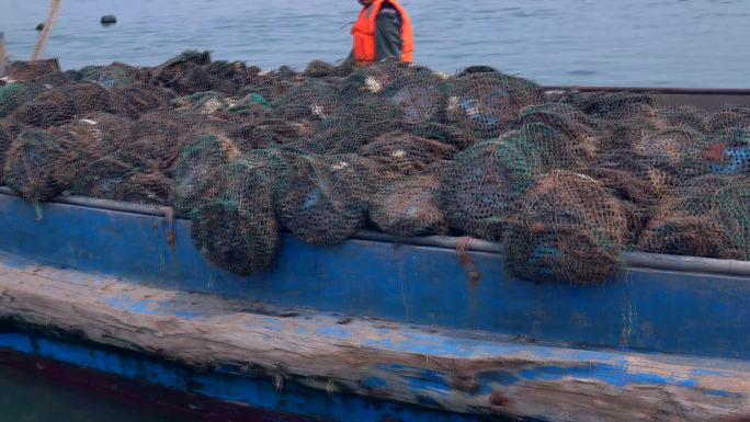 乳山牡蛎收获渔船满载