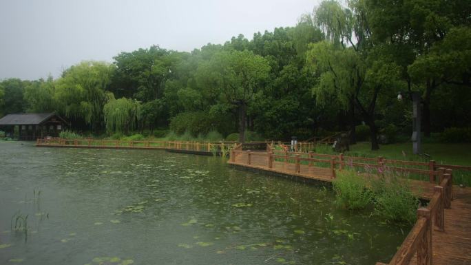 大自然下雨治愈风景，大雨，原音，公园湖泊