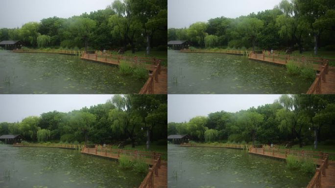大自然下雨治愈风景，大雨，原音，公园湖泊