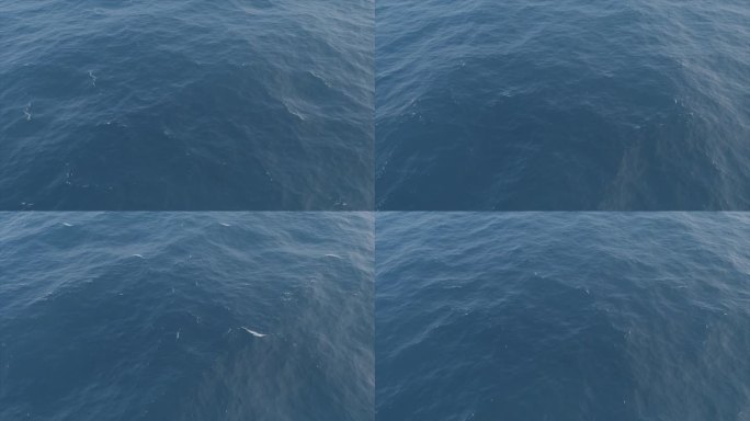 真实海洋海面4k