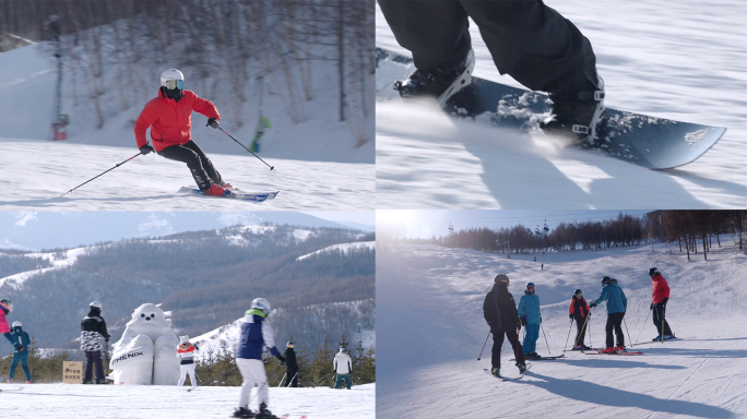冬季滑雪场单板双板运动树林空镜