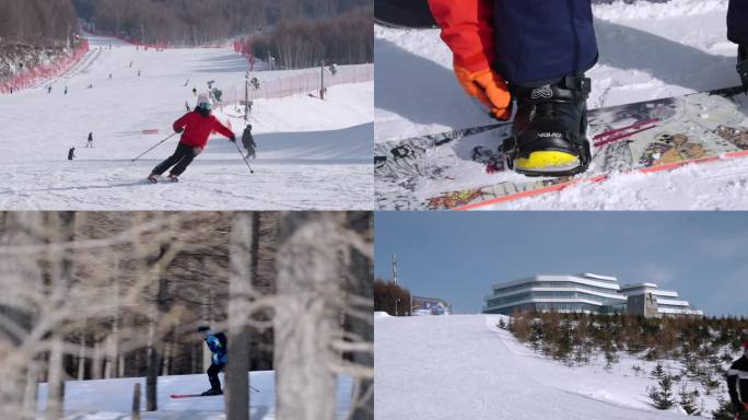 冬季滑雪场单板双板运动树林空镜