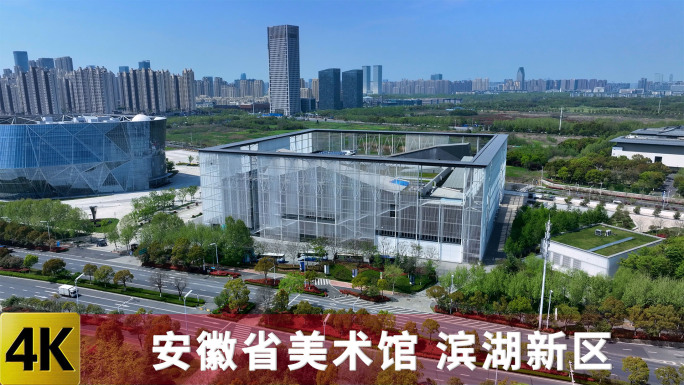 安徽省美术馆 航拍滨湖新区