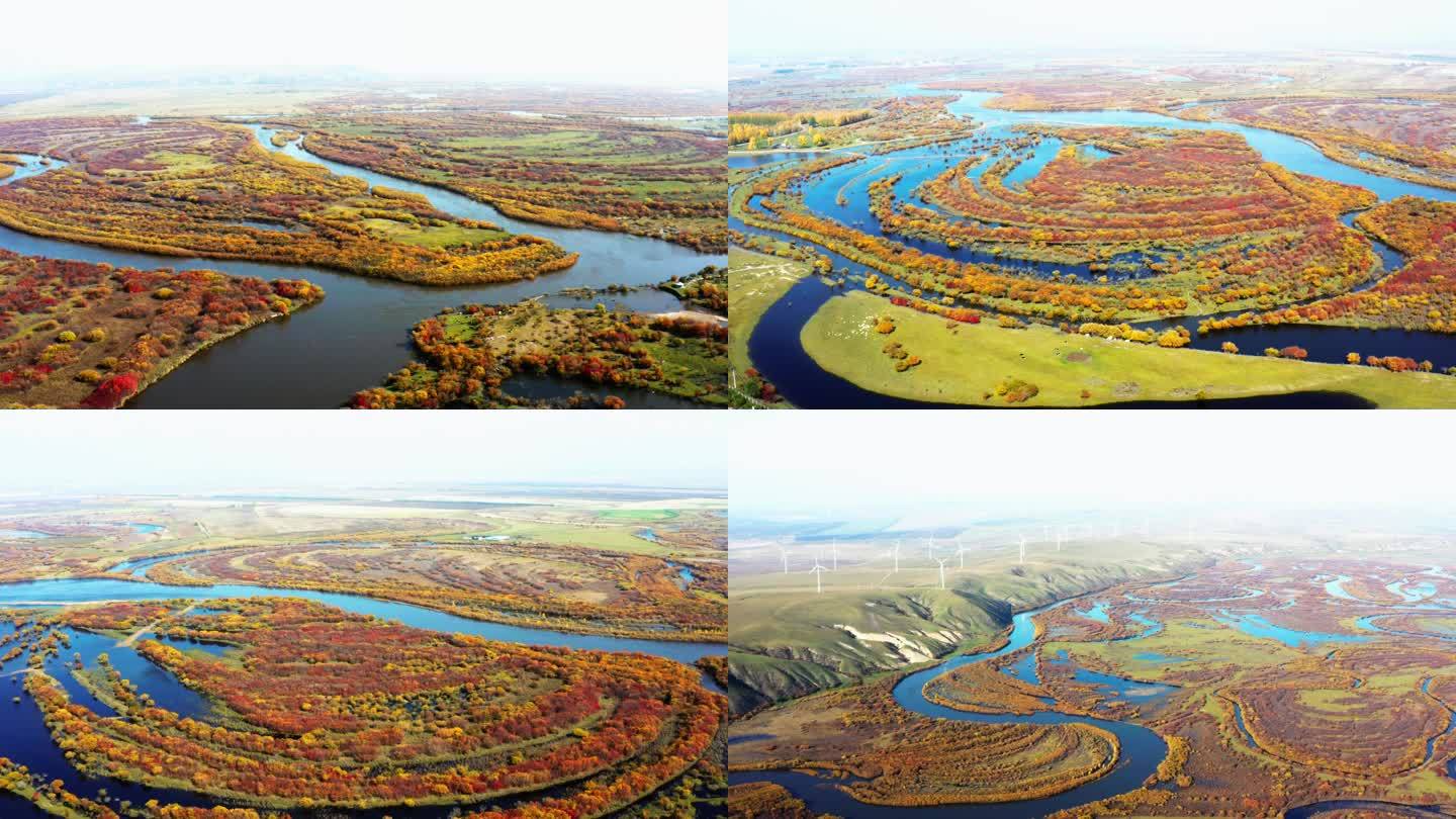 秋季内蒙古根河湿地