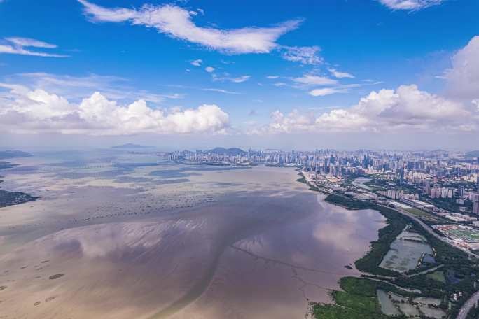 深圳湾红树林航拍延时摄影素材