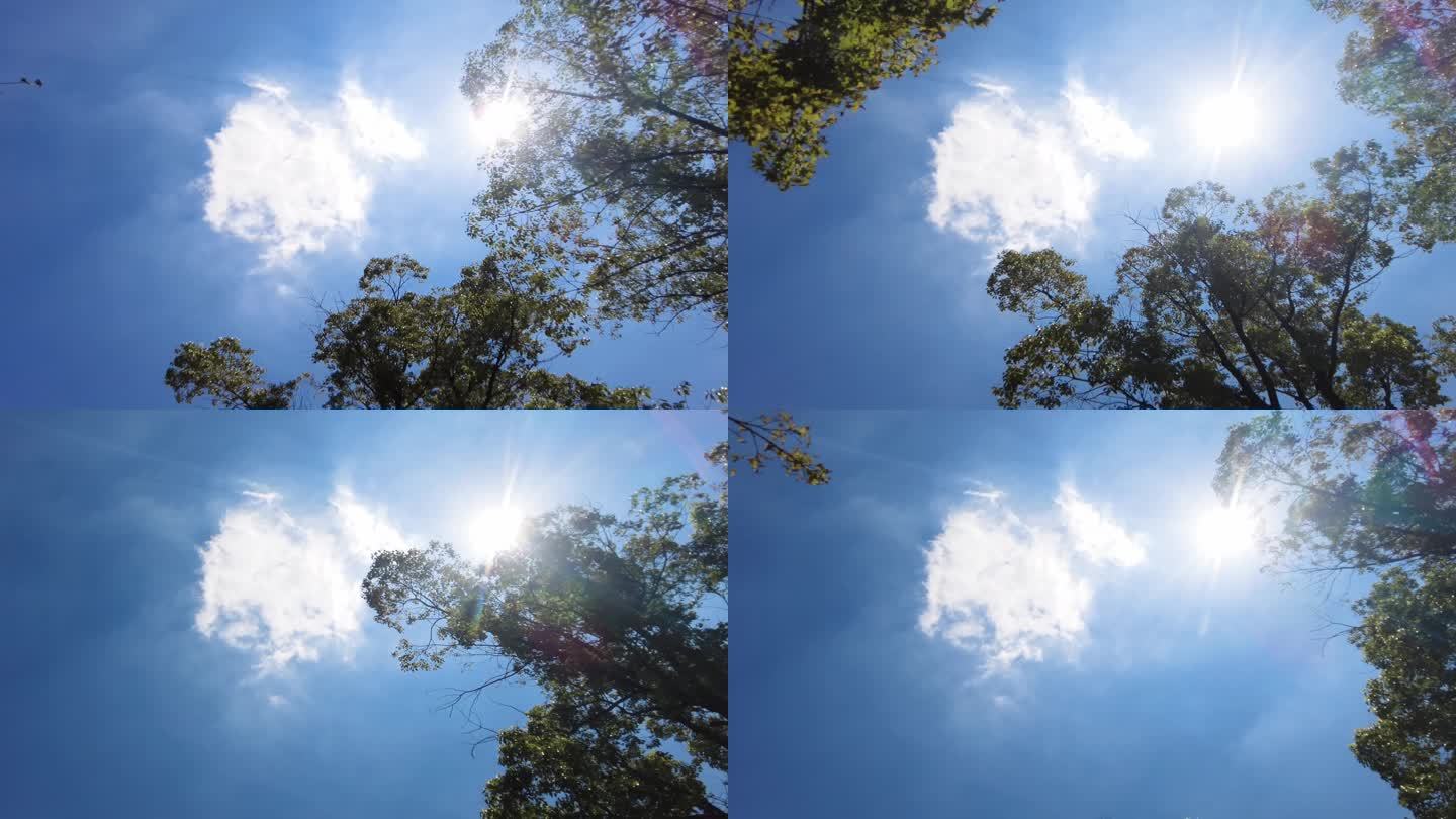 夏天阳光穿过树林唯美空镜头视频素材