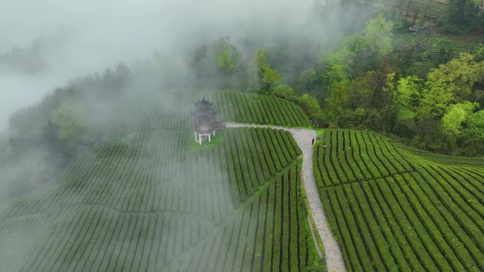 航拍云雾茶山与古建筑亭