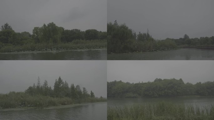 户外森林湿地下雨，6个场景，可调色，雨景