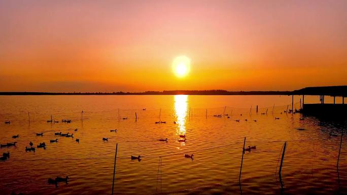龙腾国际生态温泉度假庄园野鸭湖延时摄影