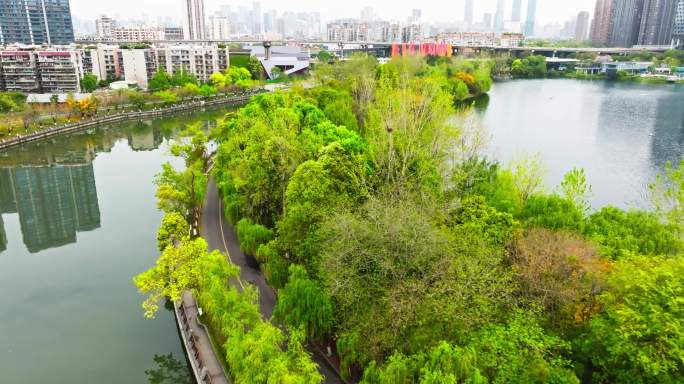 春天成都东湖美丽风景白云倒映水中公园城市