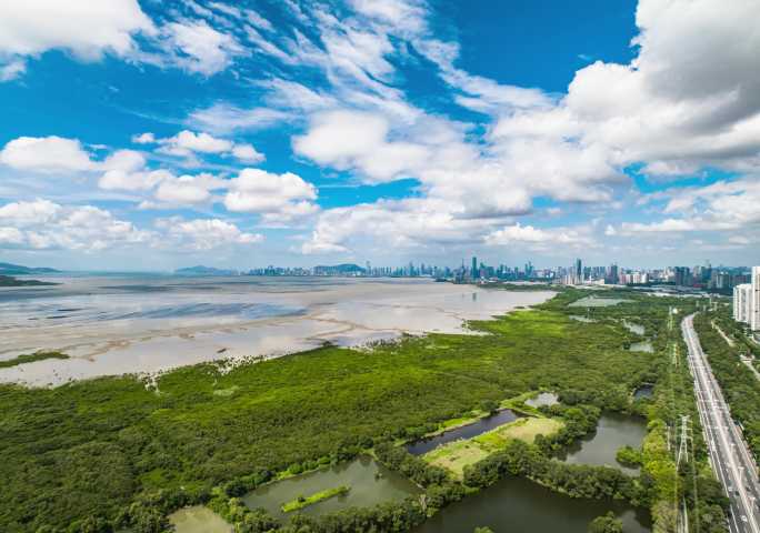 深圳湾红树林航拍延时摄影素材