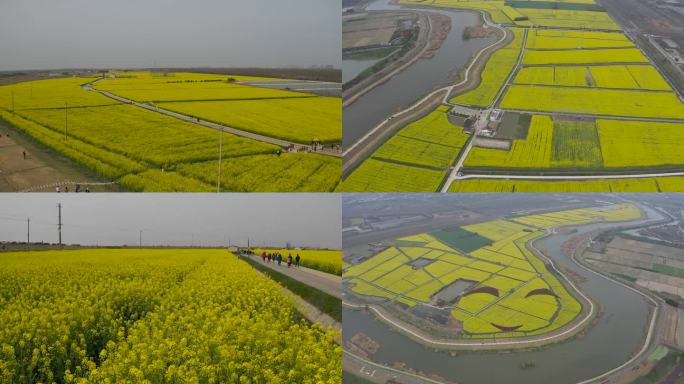 南京浦口永宁油菜花田 笑脸 航拍