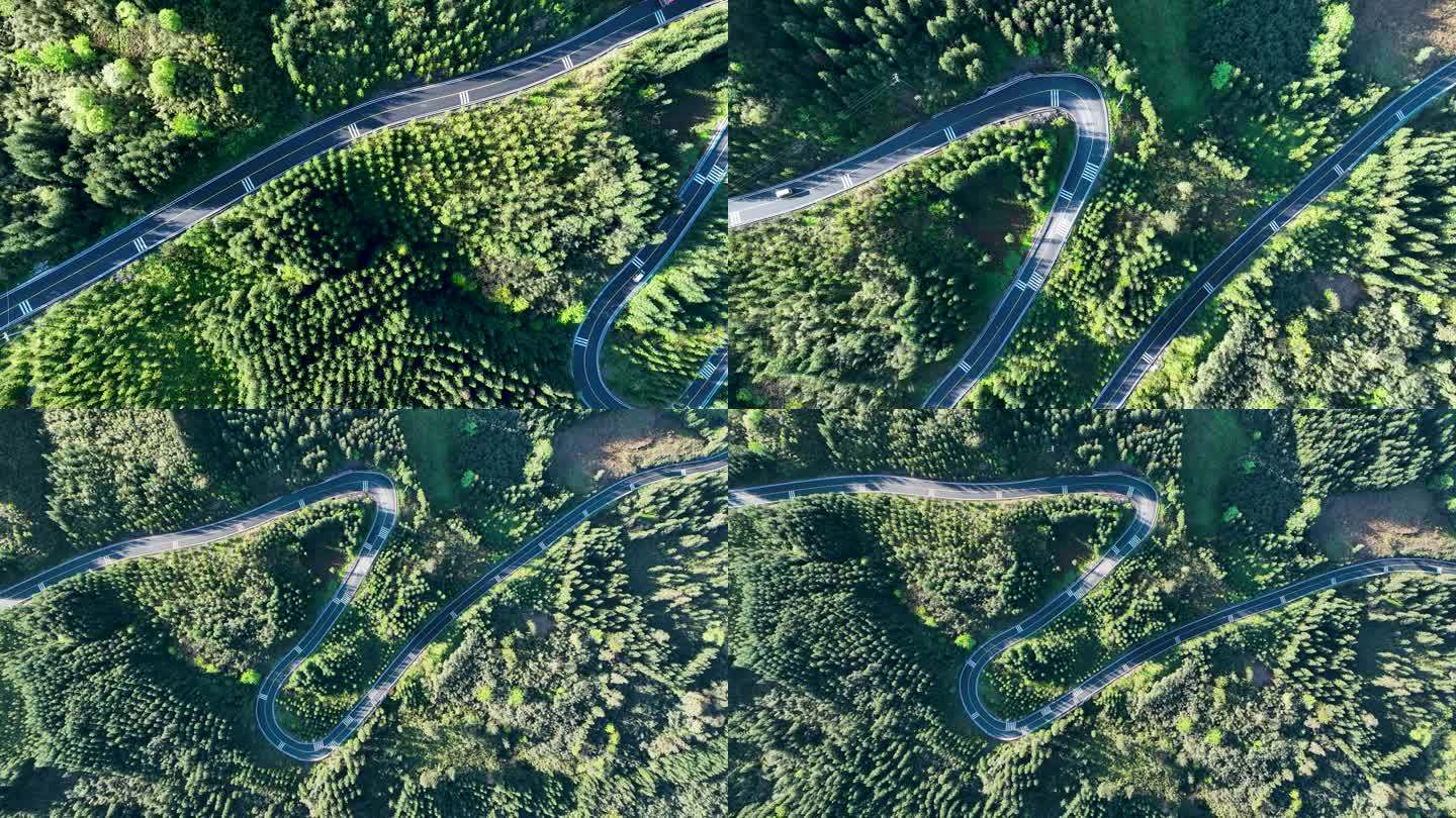 唯美森林公路弯弯美丽乡村公路穿越山林