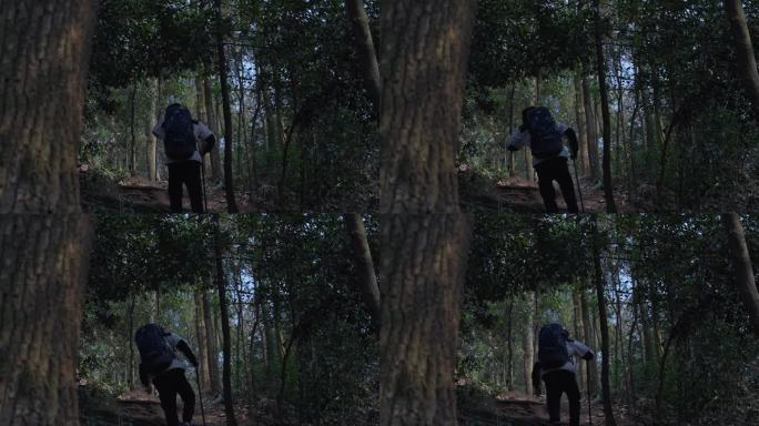 男人背包徒步攀登穿越树林