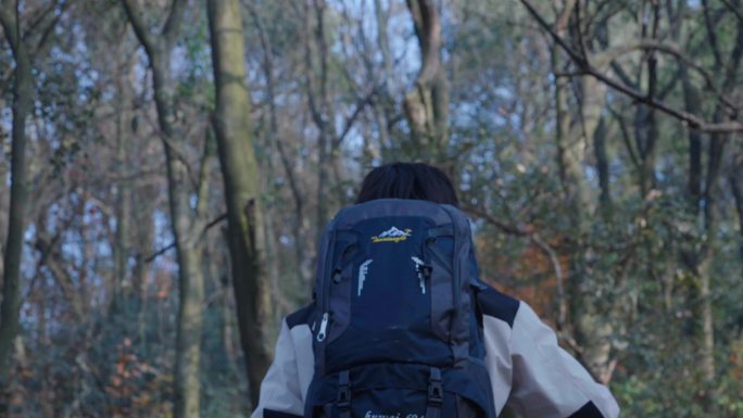 男人背包攀登山峰丛林爬山背影