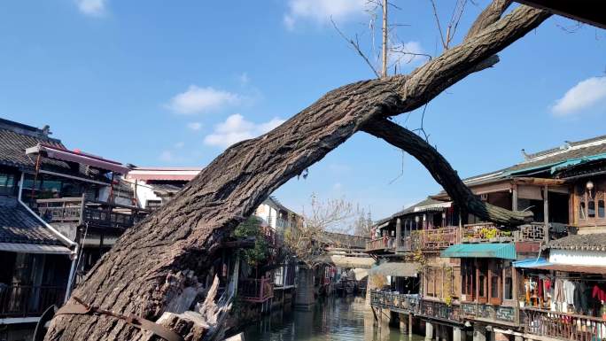 上海朱家角古镇，10个场景，古镇街景风景