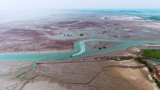 东营湿地摊盐碱地入海口航拍合集