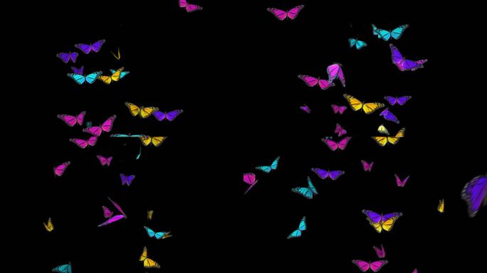 4K蝴蝶粒子透明通道素材