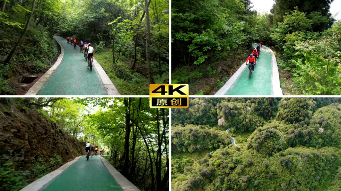 骑行 深林交通  贵州纳雍城市公园