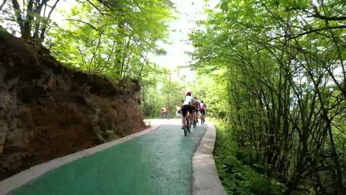 骑行 深林交通  贵州纳雍城市公园