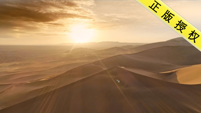 最新沙漠日出沙漠行走流沙