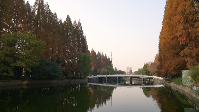 华东师范大学 校园生活 大学