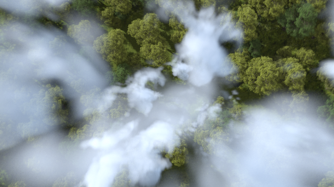 森林俯冲云层