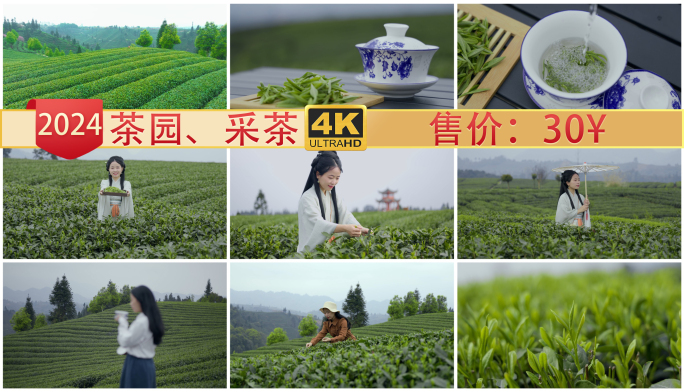 【茶园合集】茶叶茶山茶艺茶园采茶汉服泡茶