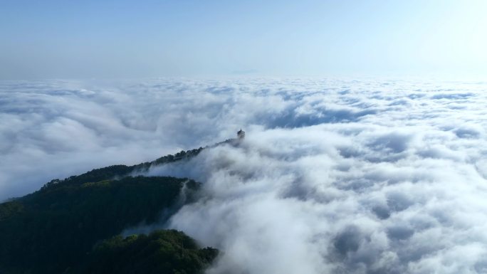 缙云山云海