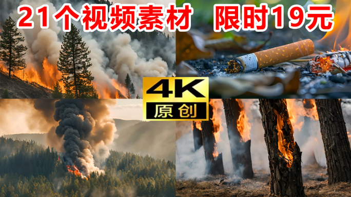 森林大火森林火灾云南山火烟头造成火灾动画