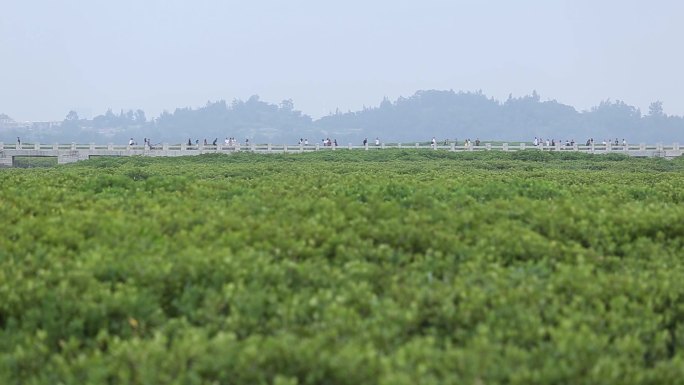 唯美阳光下踏青草地草坪春分公园