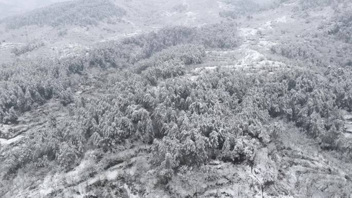 麻城盐田河镇雪景