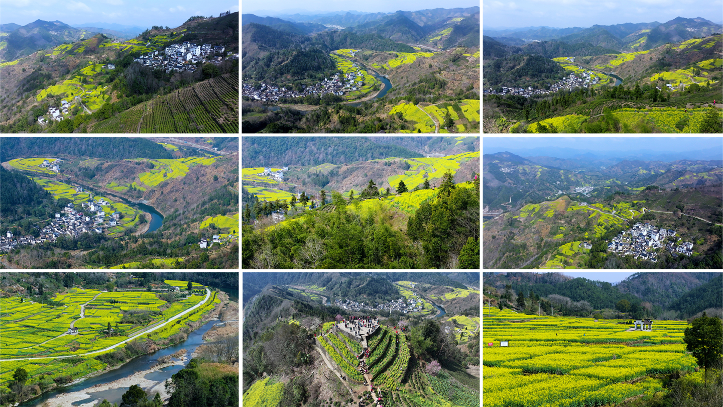 秀丽河山油菜花梯田