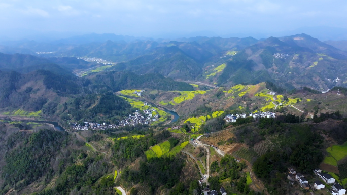 秀丽河山油菜花梯田