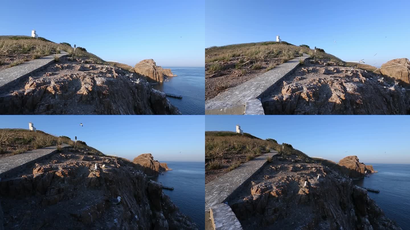 海驴岛大景1