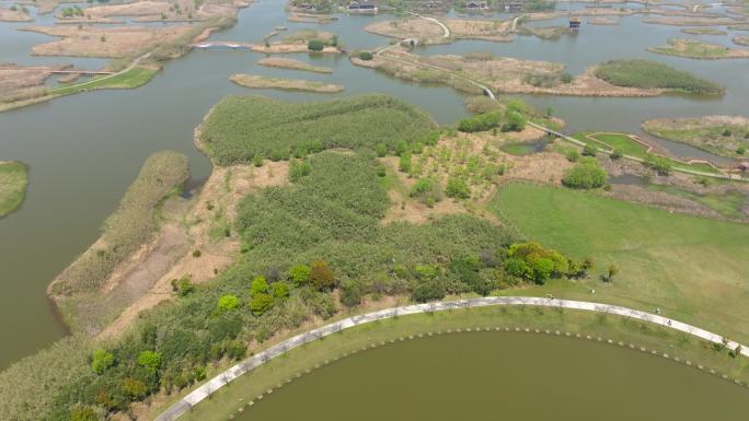 杭州湾国家湿地公园