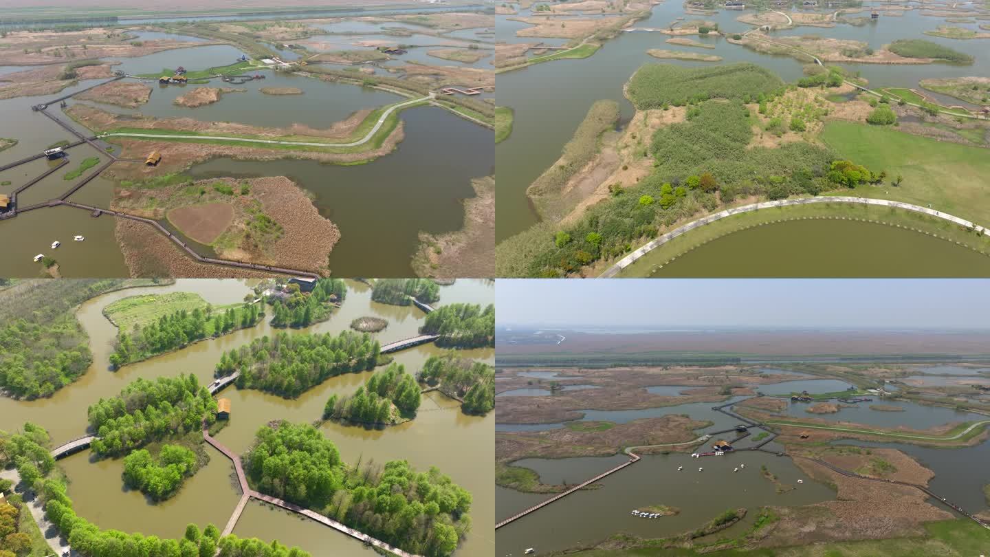 杭州湾国家湿地公园