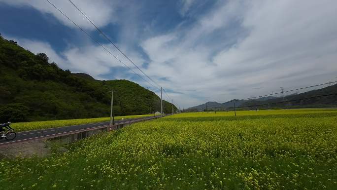 富阳油菜花田穿越机航拍