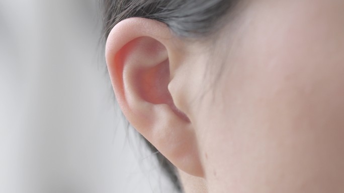 耳朵动 倾听 听听力 4k高清素材