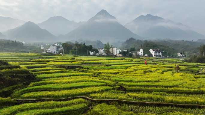 山间 大山 阳光 清晨 晨雾 梯田