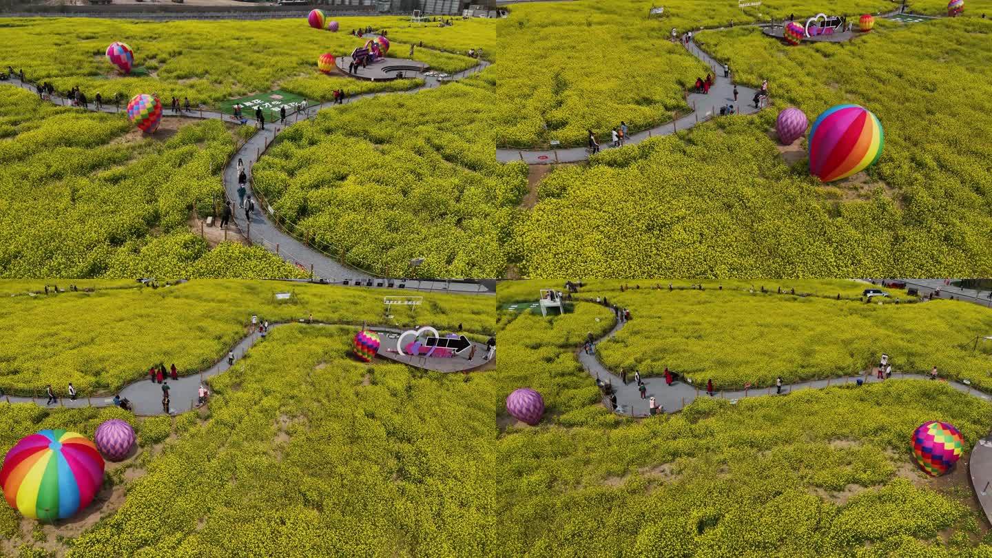 石家庄原野PARK油菜花海航拍