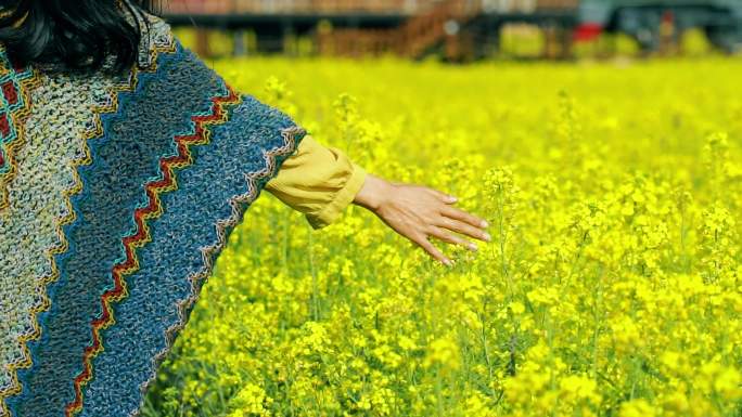 4K少女抚摸油菜花特写实拍视频