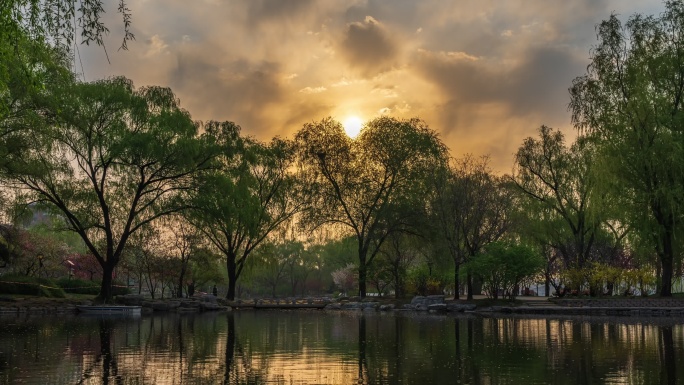 北京玉渊潭公园清晨美景