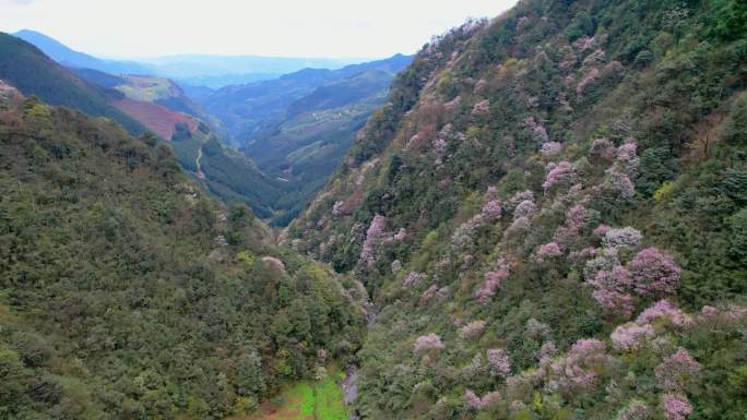 4k航拍乡村大山森林岩石峡谷树林乡下