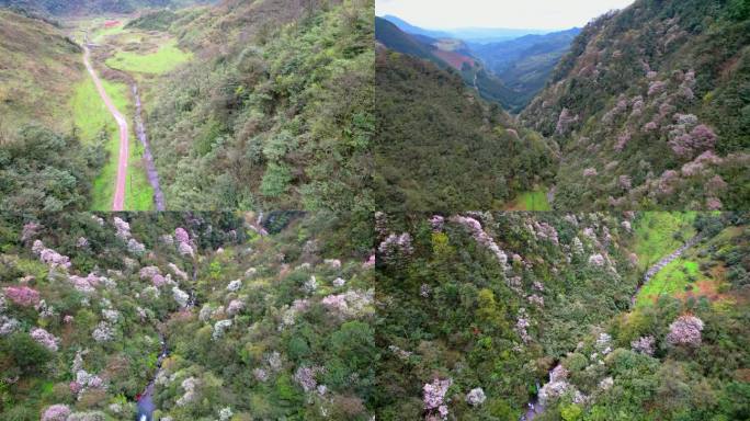 4k航拍乡村大山森林岩石峡谷树林乡下