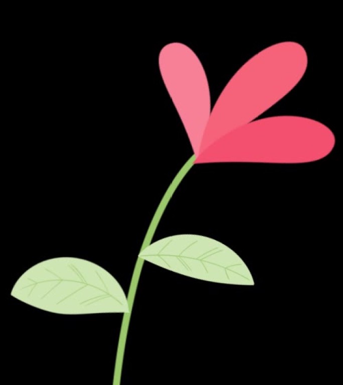 植物花朵生长动画